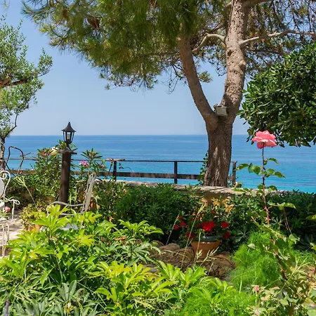 Skyblue Horizon 1 * Циливи